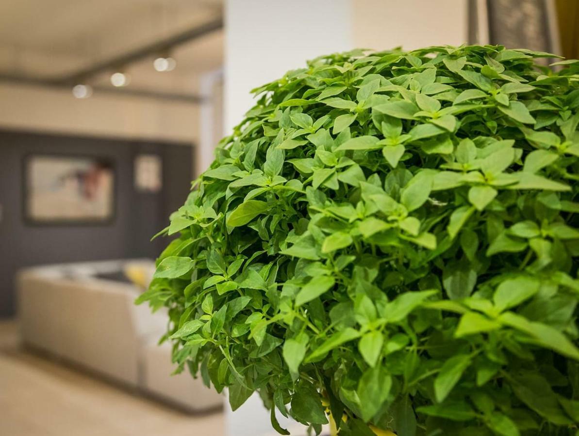 Renovated Loft At The Center Of Monastiraki Apartamento Atenas Exterior foto